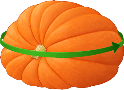 Pumpkin with a green tape measure wrapped around its circumference