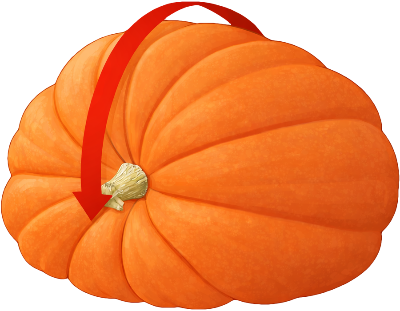 Step 1: Measure over the top from stem to blossom end