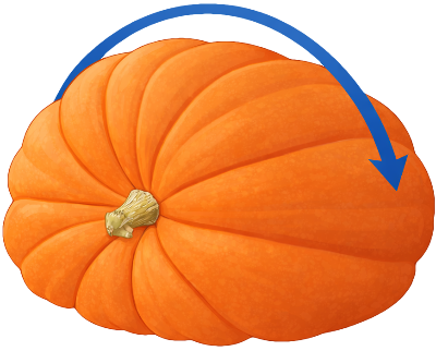 Step 2: Measure over the top from side to side