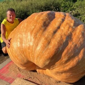 2019 MATHIOWETZ 2025 2 SEEDS